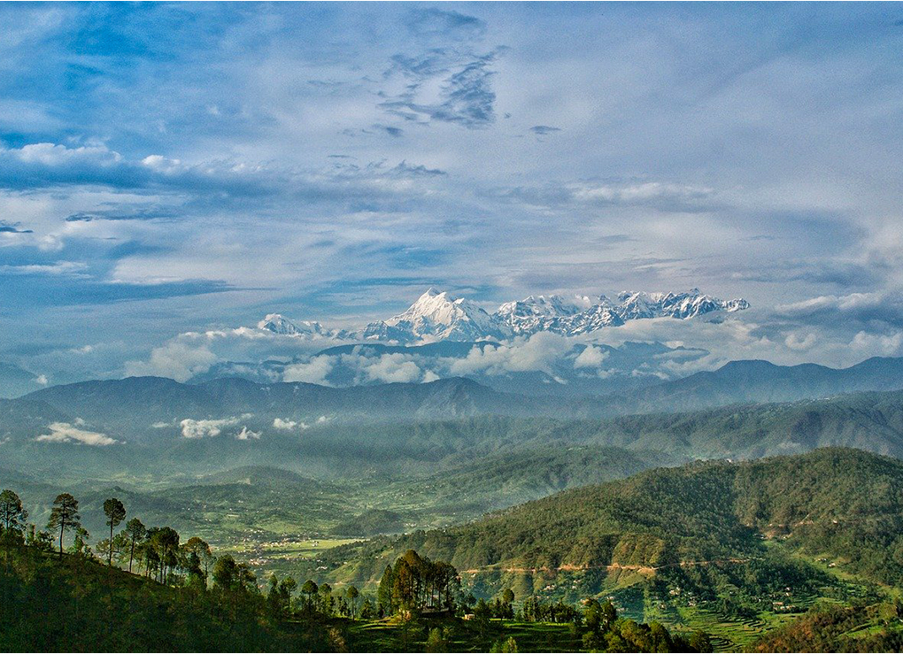 Top 10 Districts in Province 1 with Highest Forest Area